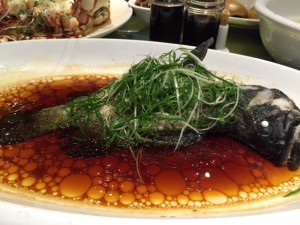 福州石斑魚