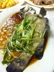 石班魚